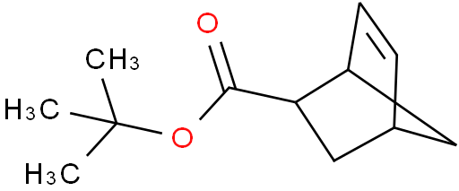 双环[2.2.1]-5-庚烯-2-甲酸叔丁酯